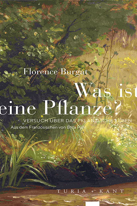 cover-preview